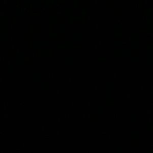 Meet your Posher, Carlos